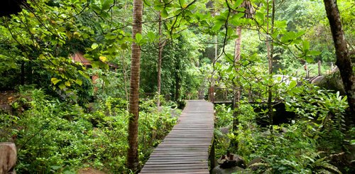 Samadhi Japamala Tioman Island