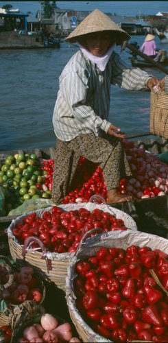 Cai Be Tien Giang Vietam Schwimmender Markt