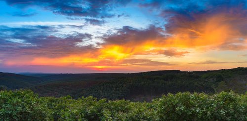 Sonnenuntergang bei Banlung Blick auf Gummiplantagen und Cashewbäume