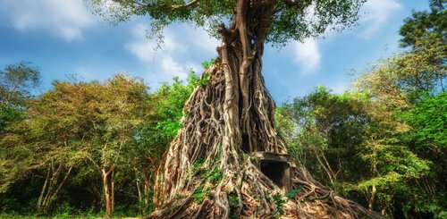 Sambor Prei Kuk Kampong Thom Kambodscha Indochina Asien