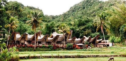 traditionelle Häuser Torajaland Sulawesi