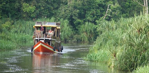 eines der komfortablen Hausboote am Kumai River im Tanjung Nationalpark Borneo