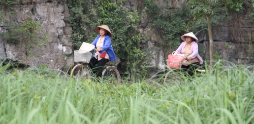 Ninh Binh Vietnam 