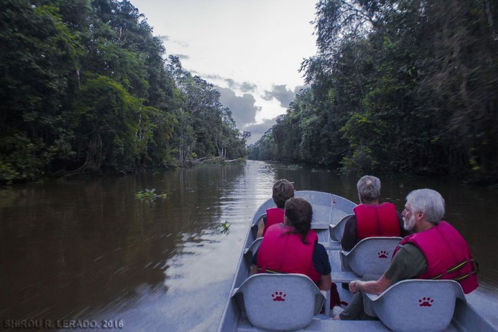 Bootstour Sandakan Regenwald Malaysia