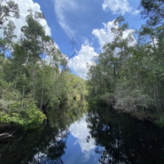 Tanjung Puting Nationalpark Kumai River auf Borneo