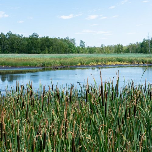 Naturschutzgebiet Soos bei Franzensbad