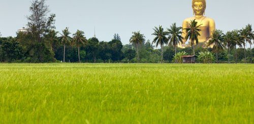 riesiger Buddha Wat Muang Angthong