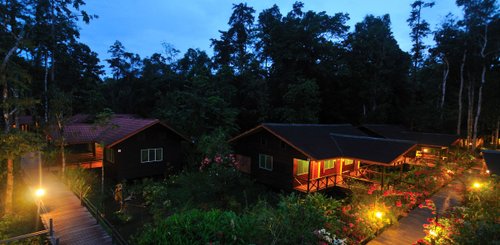 Abai Jungle Lodge Sandakan Malaysia