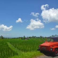 Bali VW Kuebelwagen VW 181 Oldtimertour