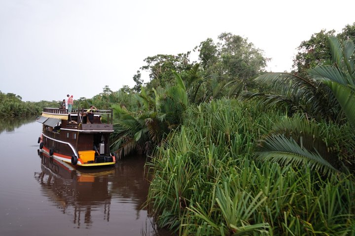 Hausboot auf Borneo am Kumai River Tanjung Puting Nationalpark