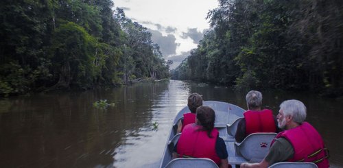 Bootstour Sandakan Regenwald Malaysia