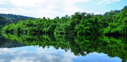 Am Weg zum Tatai Wasserfall. Koh Kong. Traumhafte Mangroven und Flusslandschaft