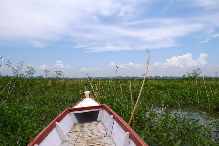 Tempe See Sulawesi