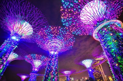 Singapur Supertree Grove Garden - die allabendliche kostenlose Lichtershow "Garden Rhapsody" findet um 19.45 Uhr und 20.45 Uhr statt 