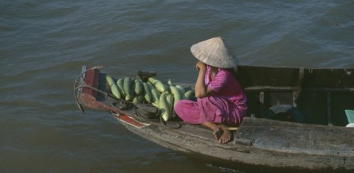 Mekongdelta