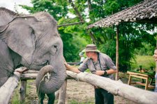 Elefantenbegegnung - The Bush Camp Chiang Mai Nordthailand