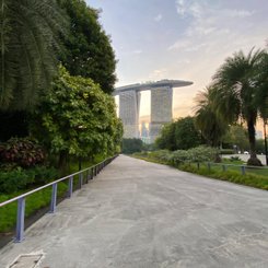 Blick auf das Marina Sands von Garden by the Bay