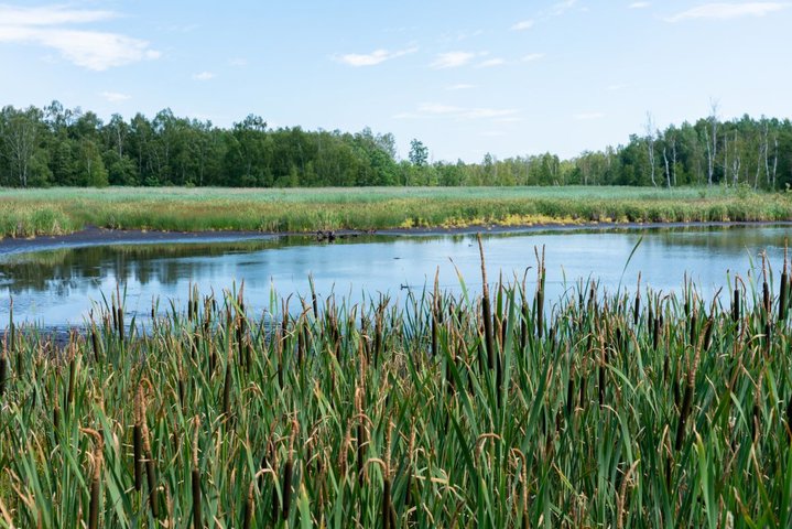 Naturschutzgebiet Soos bei Franzensbad