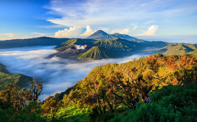 Java Bromo Vulkanlandschaft